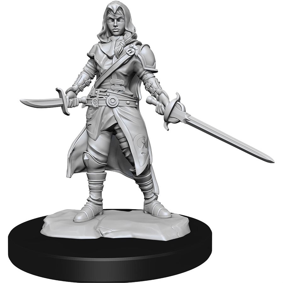 D&D Nolzur's Marvelous Miniatures: Wave 14: Half-Elf Rogue  Female