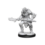 D&D Nolzur's Marvelous Miniatures: Wave 15: Bugbear Barbarian Male & Bugbear Rogue Female