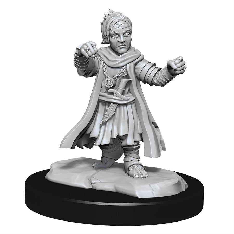 Pathfinder Deep Cuts: Wave 15: Halfling Monk Male