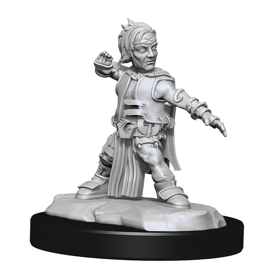 Pathfinder Deep Cuts: Wave 15: Halfling Monk Male