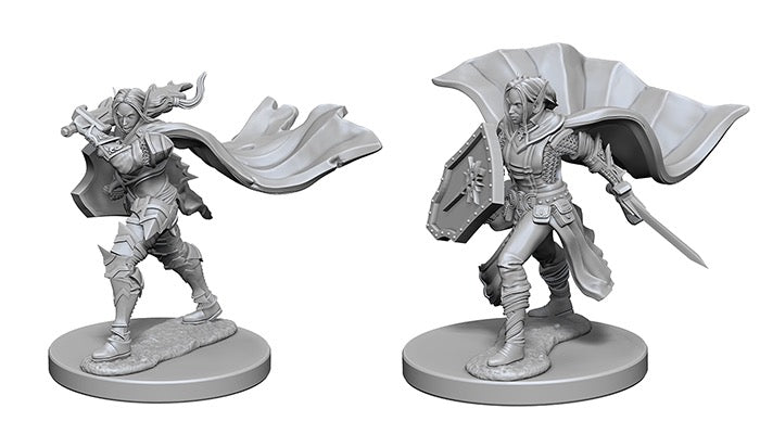 Pathfinder Deep Cuts: Elf Female Paladin miniature