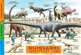 Dinosaurs Through the Ages Placemat