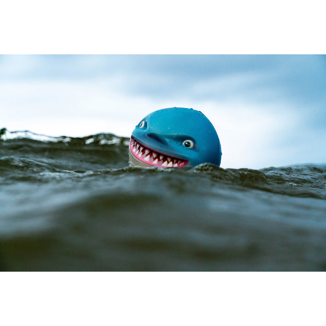 Sharky Shark