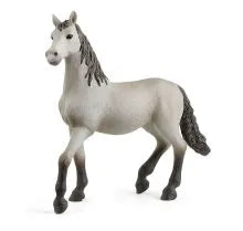 Pura Raza Espanola Young Horse