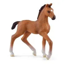 Oldenburg Foal