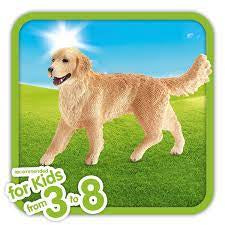 Golden Retriever Female