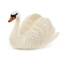 Swan