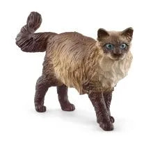 Ragdoll
